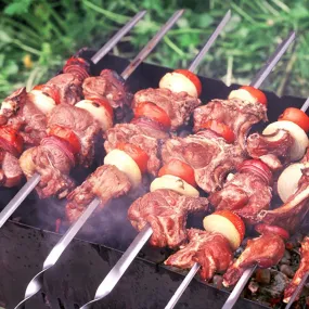 10pcs Flat Barbeque Skewers