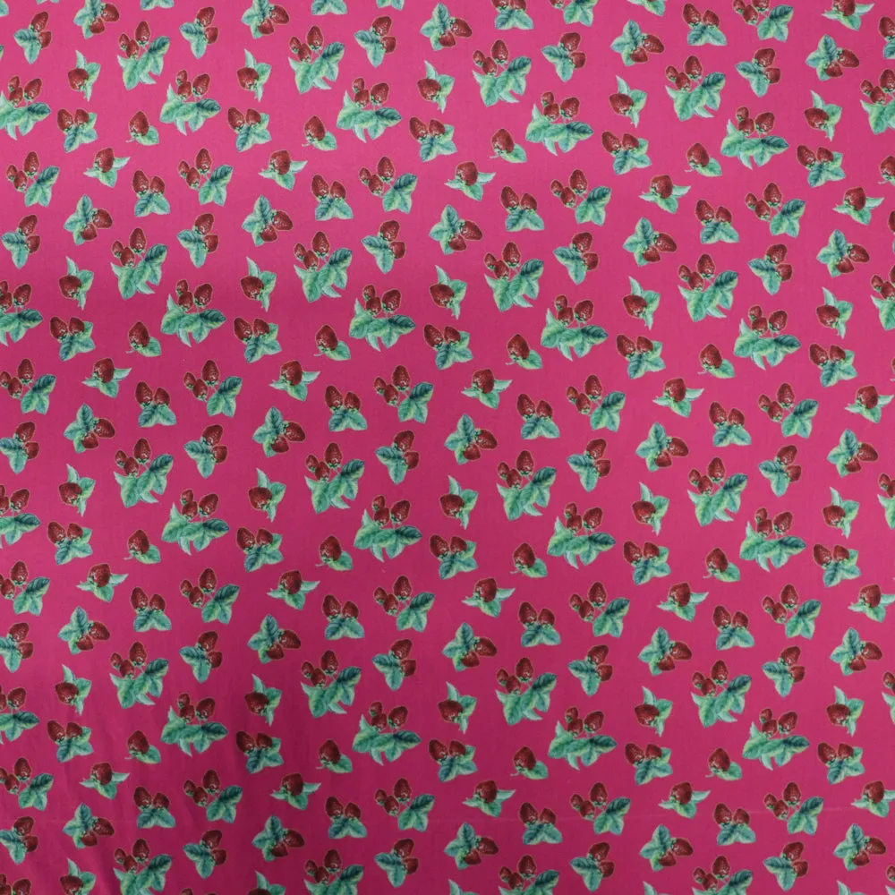 (31C) Strawberries Powermesh Fabric