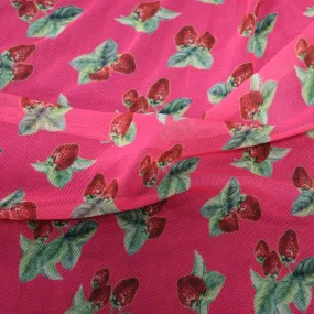 (31C) Strawberries Powermesh Fabric