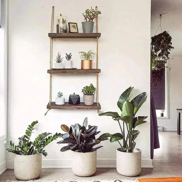 3Tier Rustic floating shelves/ organizer rack