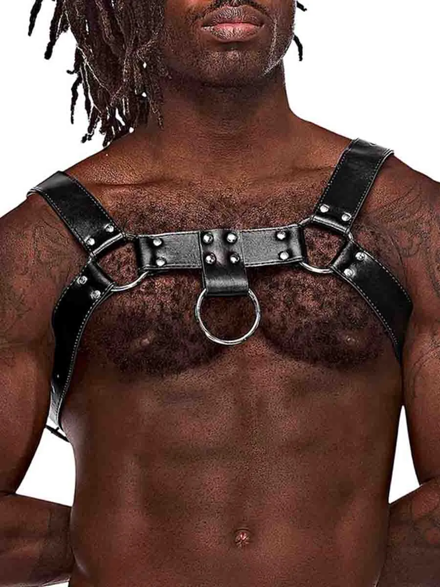 Aries Leatherette Harness One Size