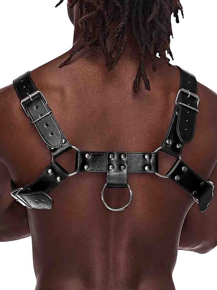 Aries Leatherette Harness One Size