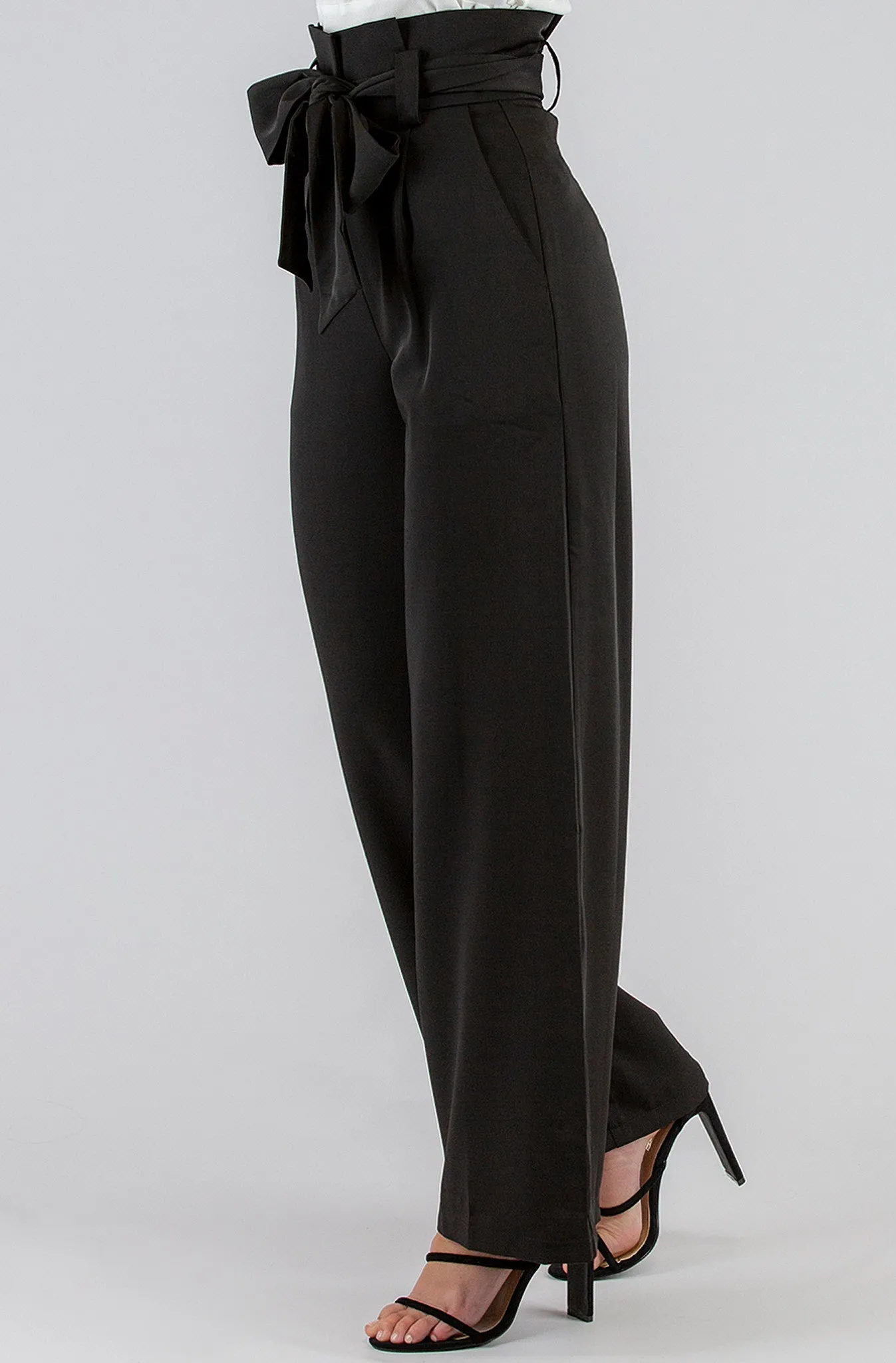 Hudson Paper Bag Pants