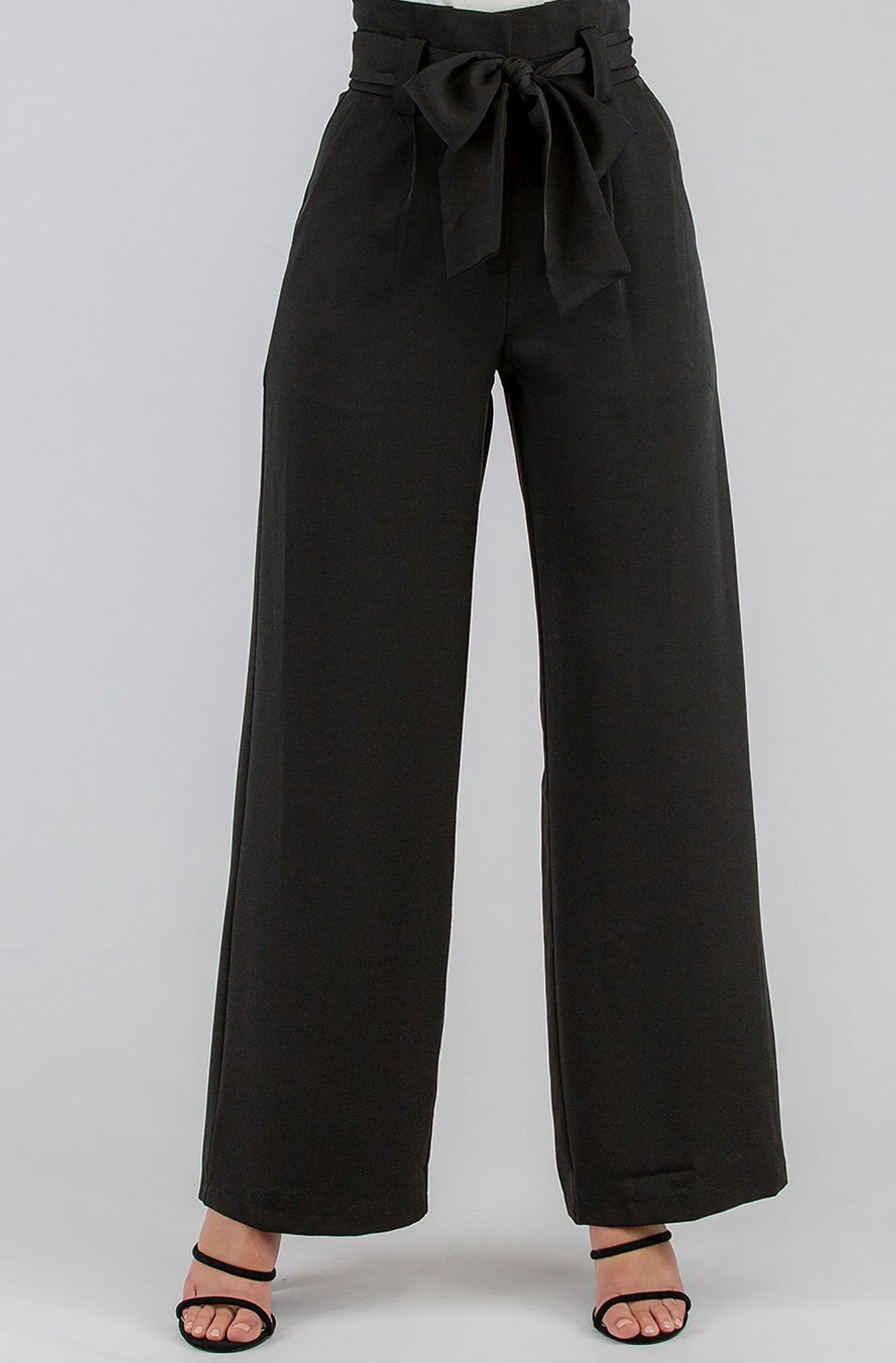 Hudson Paper Bag Pants
